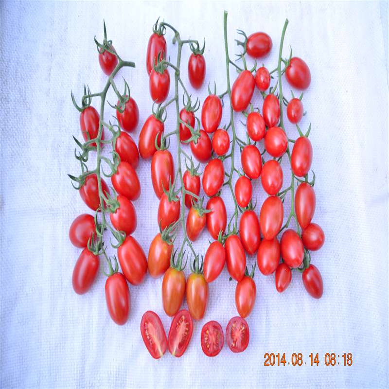 QTM 8122