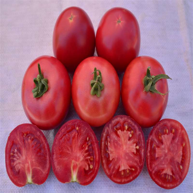 粉丽