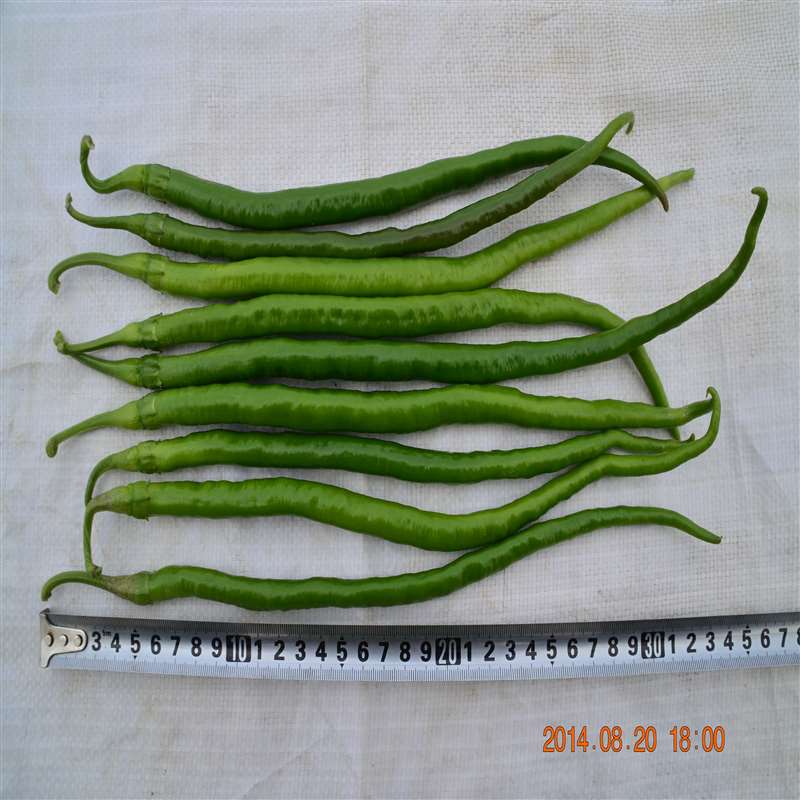 QPE 901