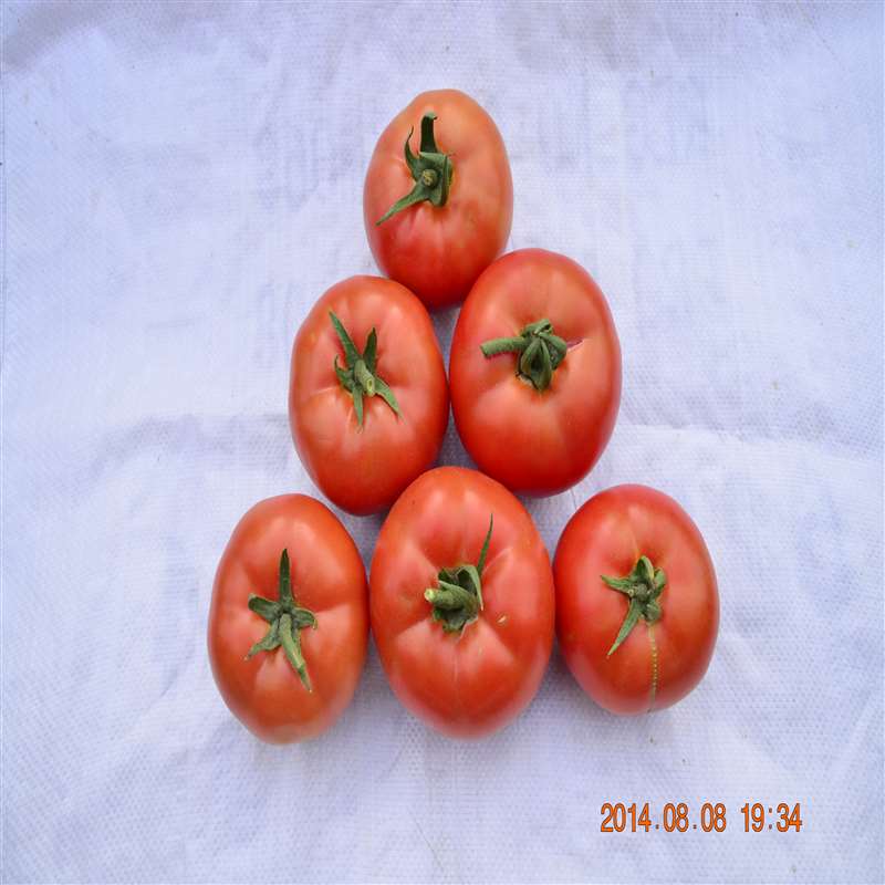 QTM 3114