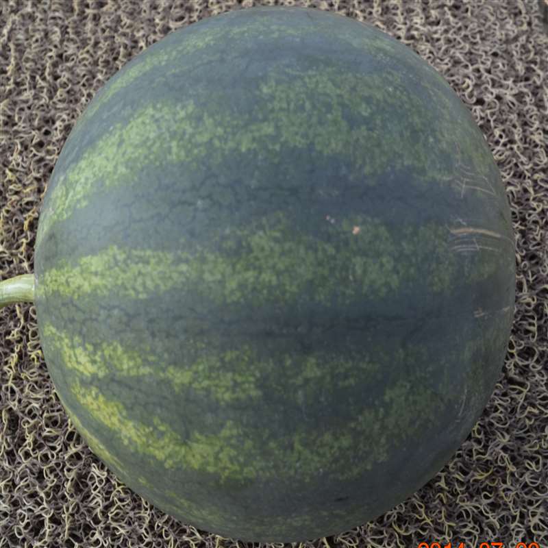 QWE 901