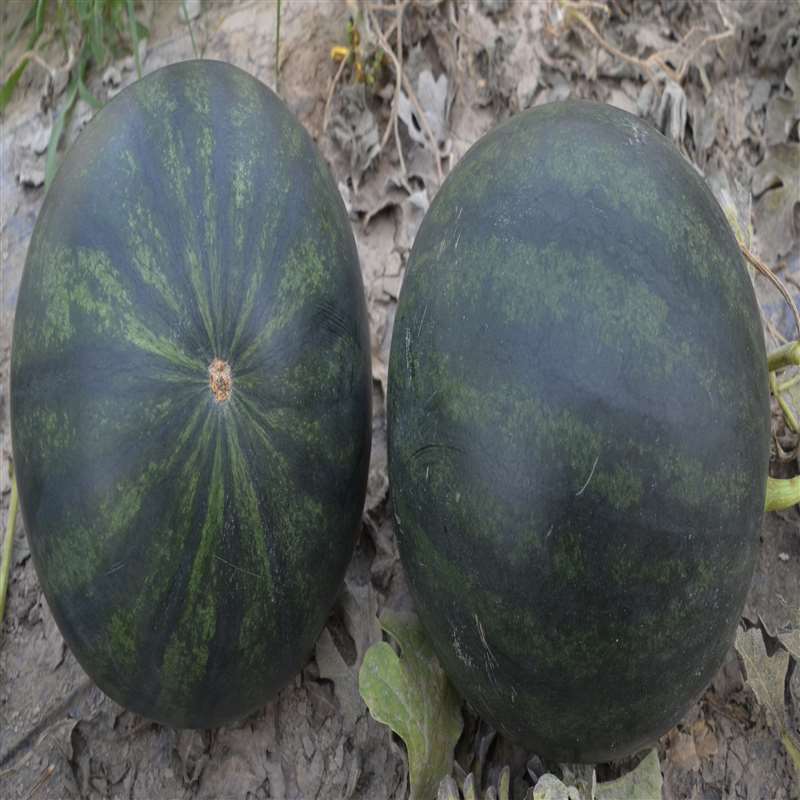 QWE 123