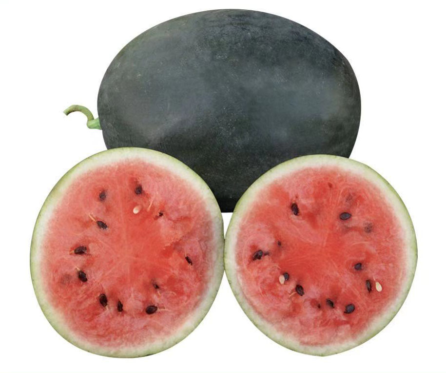 Long Stick Watermelon