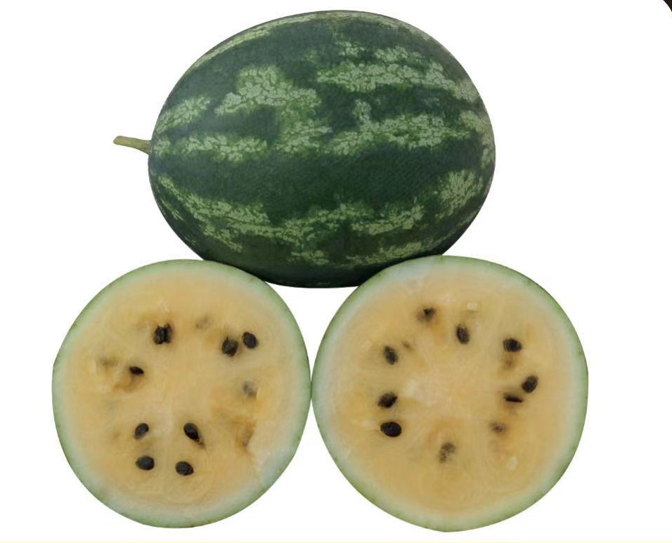 Tiger Skin Watermelon