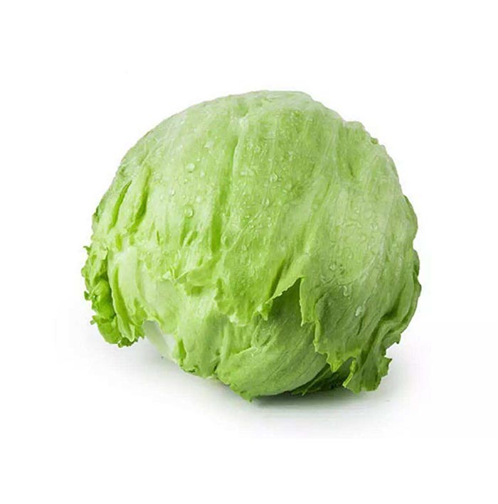 结球生菜