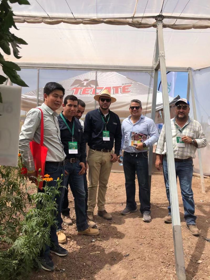 Cooperation in Mexico